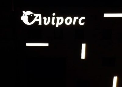 Iluminación de fachada para empresa AVIPORC en Valladolid